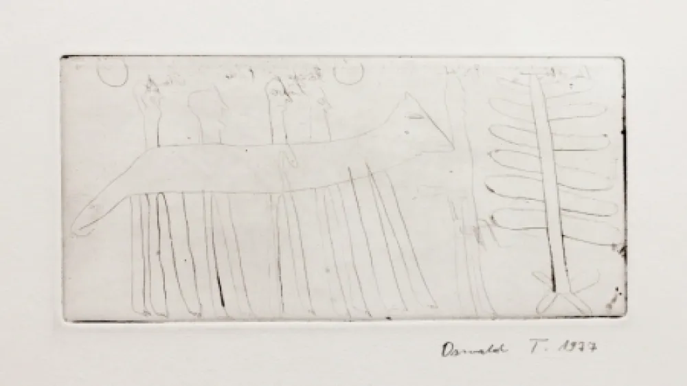 Grabado Tschirtner - Hase (Hare)