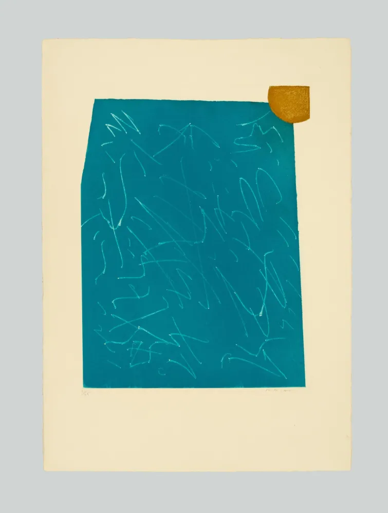 Aguafuerte Y Aguatinta Turcato - Composizione