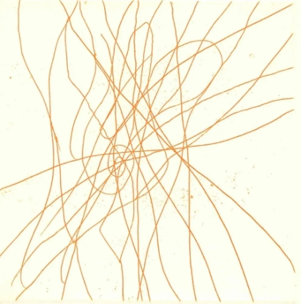 Libro Ilustrado Turcato - Poesie giovanili