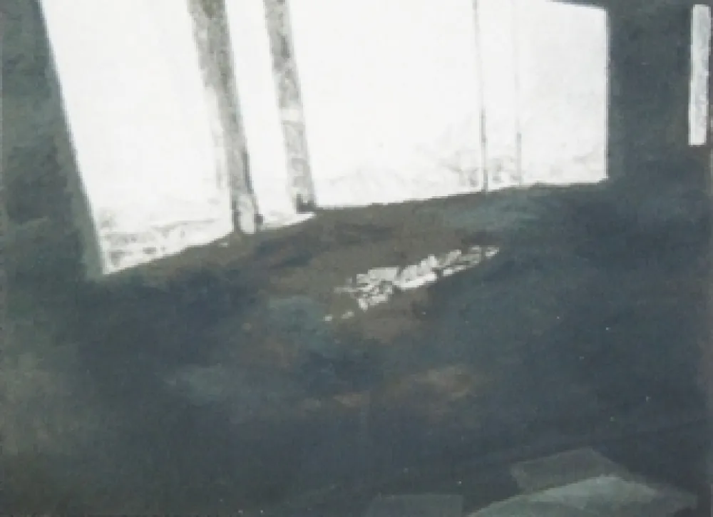 Serigrafía Tuymans - Fenêtres