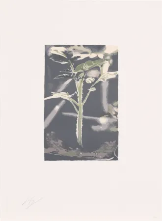 Litografía Tuymans - Gene