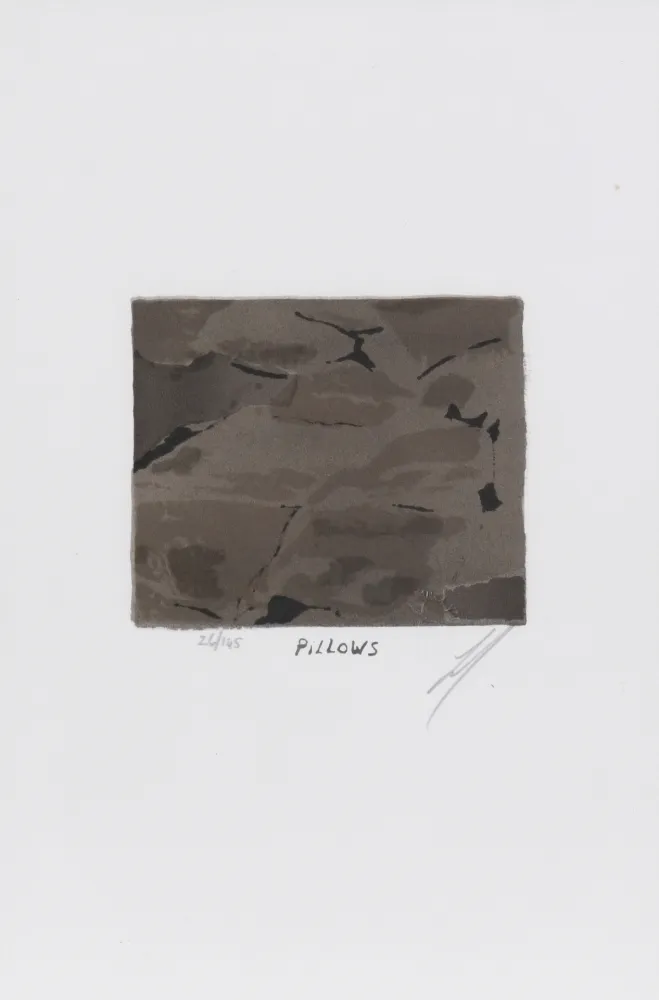 Litografía Tuymans - Pillows