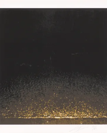 Serigrafía Tuymans - Shore