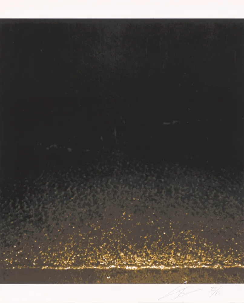 Serigrafía Tuymans - Shore