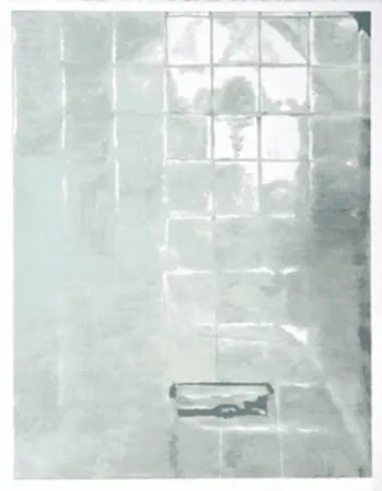 Serigrafía Tuymans - Tiles