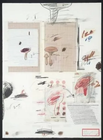 Litografía Twombly - Natural History Part I: Mushrooms IV