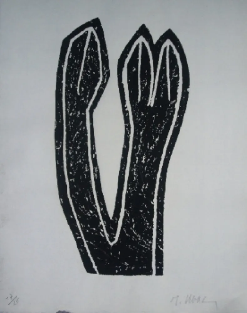 Libro Ilustrado Ubac - Alentour de la montage 4