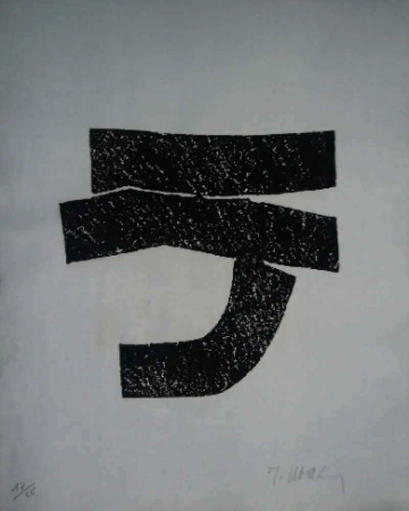 Libro Ilustrado Ubac - Alentour de la montage 5