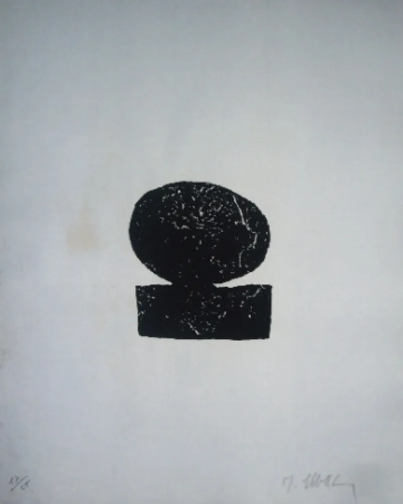 Libro Ilustrado Ubac - Alentour de la montage 6