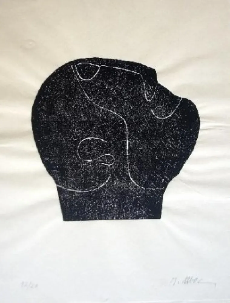 Libro Ilustrado Ubac - Comme un sol plus obscur