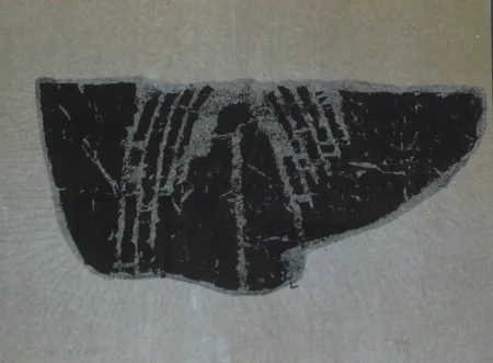 Monotipo Ubac - Empreinte d'ardoise