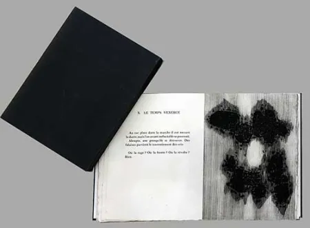 Libro Ilustrado Ubac - Lisière du devenir