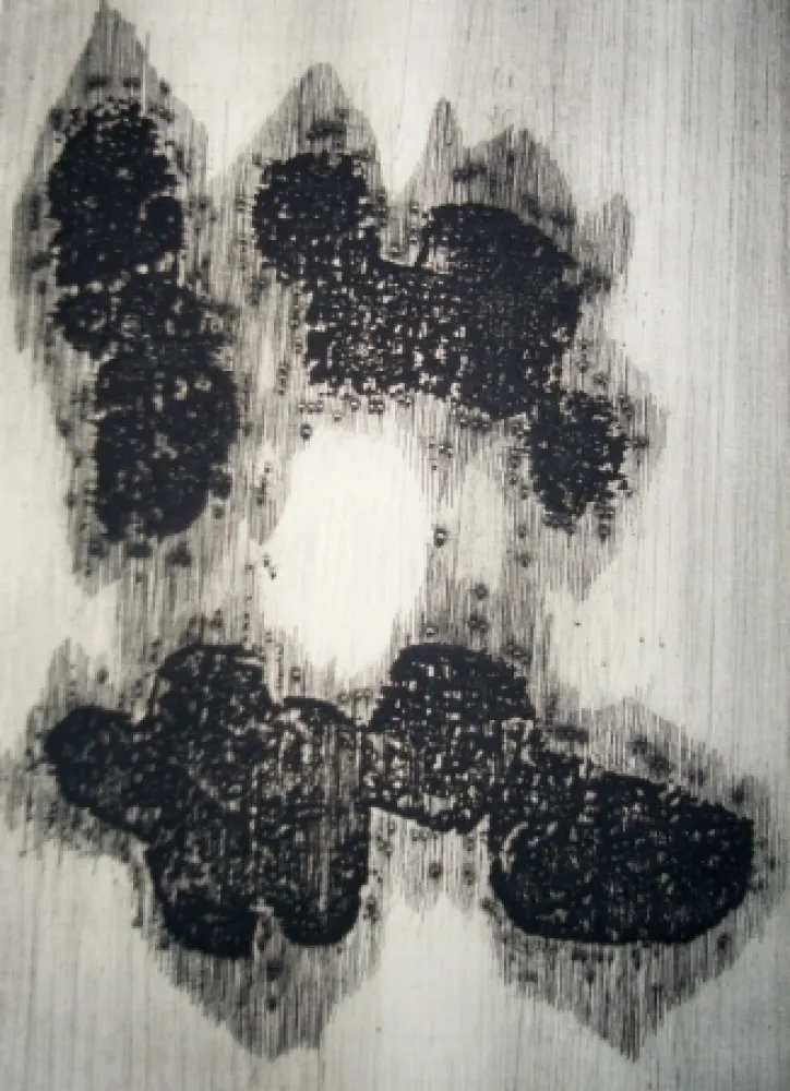 Libro Ilustrado Ubac - Lisière du devenir