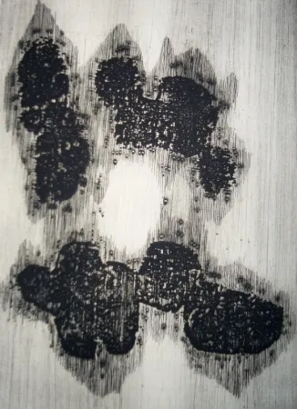 Libro Ilustrado Ubac - Lisière du devenir