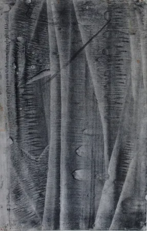 Sin Técnico Ubac - Sans titre