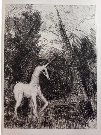 Aguafuerte Unknown - Bestiaire avec 14 eaux-fortes de Pedro Zamorano de Biedma Kerdyk, René (Pedro Zamorano de Biedma) (Léon-Paul Fargue)