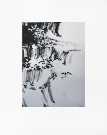 Estampa Numérica Usle - Pisuena