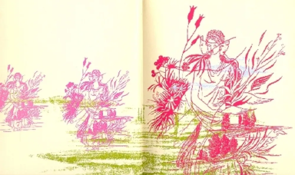 Libro Ilustrado Vallmitjana - Poesie