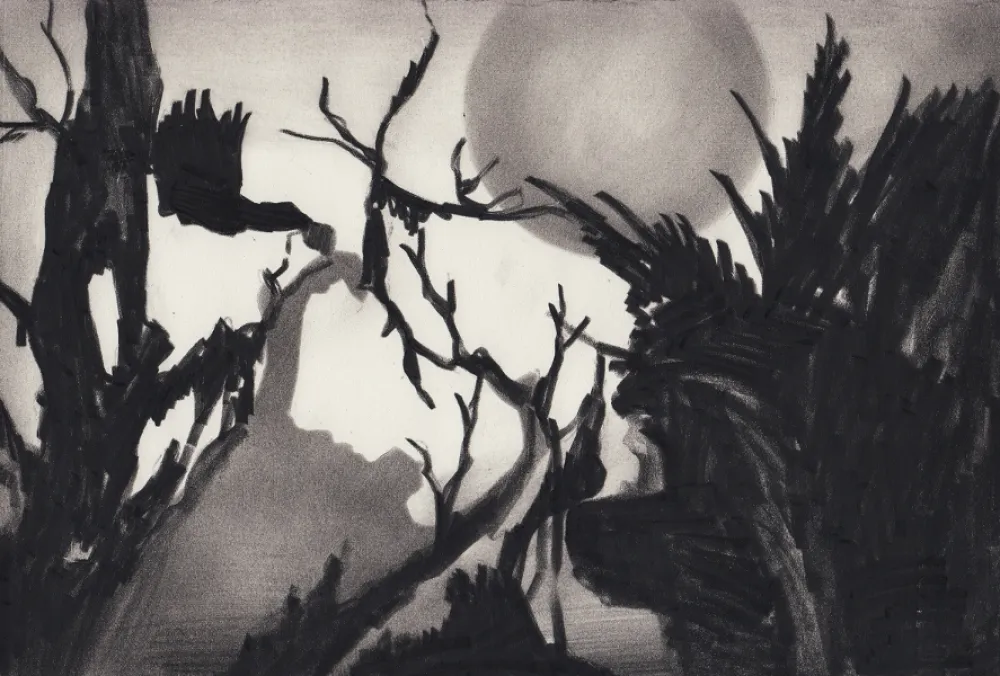 Múltiple Van Eeden - Untitled 22