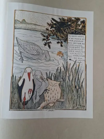 Libro Ilustrado Van Hoytema - Het leelijke jonge Eendje