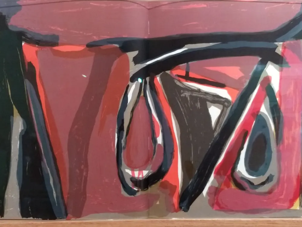 Libro Ilustrado Van Velde - DLM 250