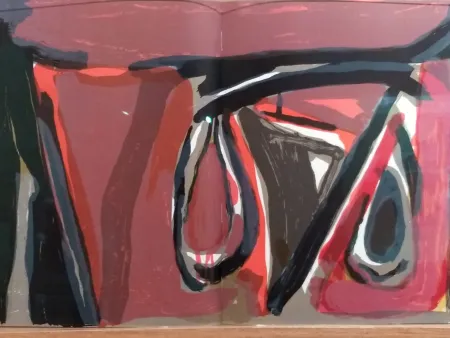 Libro Ilustrado Van Velde - DLM 250