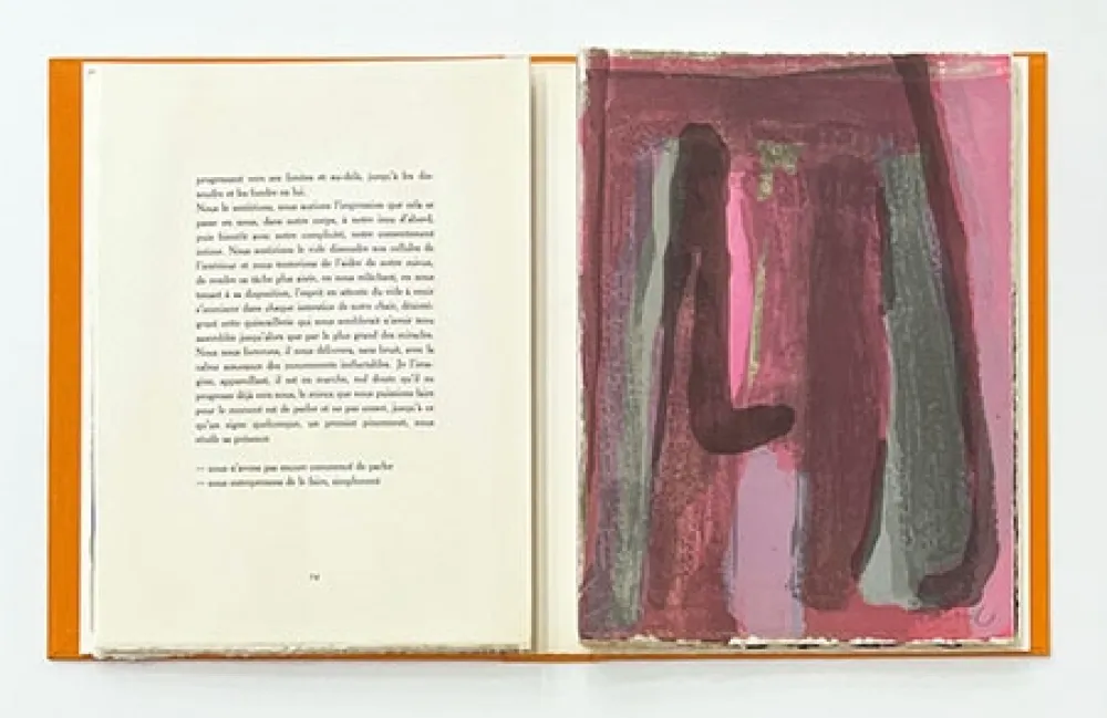 Libro Ilustrado Van Velde - L'Envers