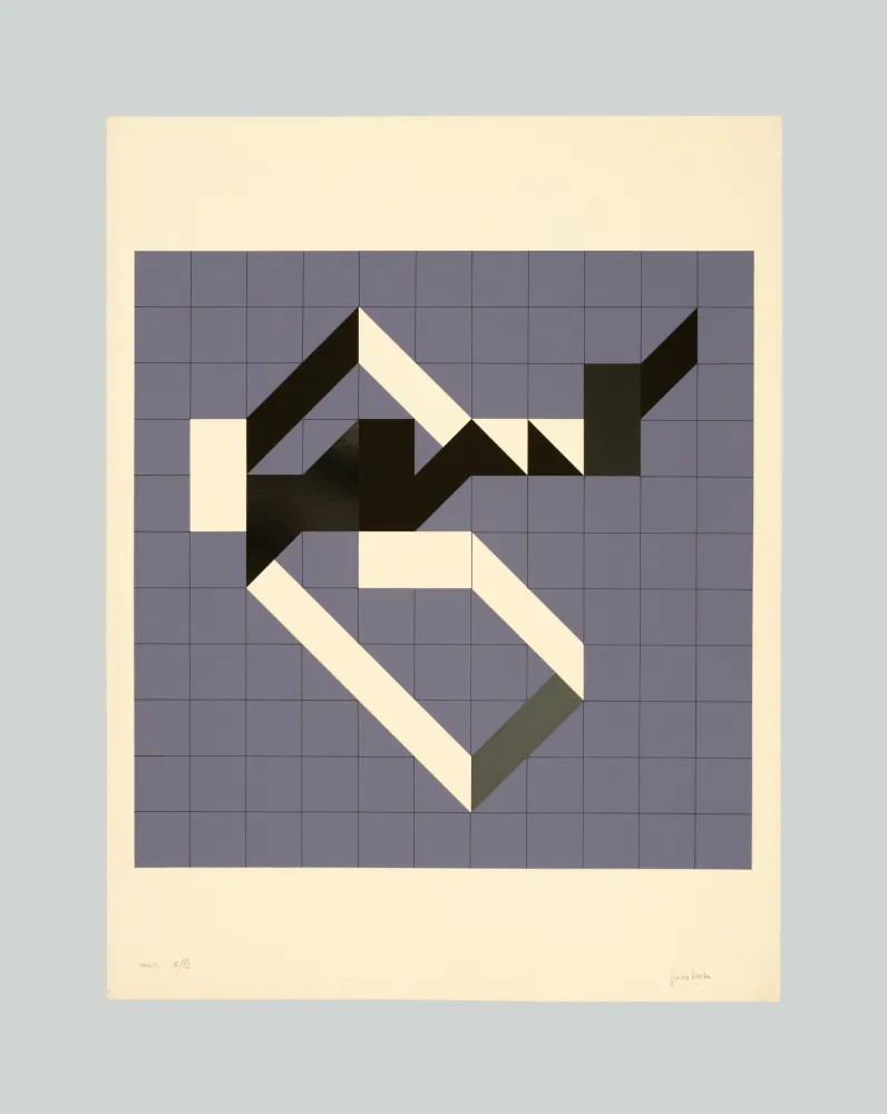 Serigrafía Varisco - Random walks (Tav. B)