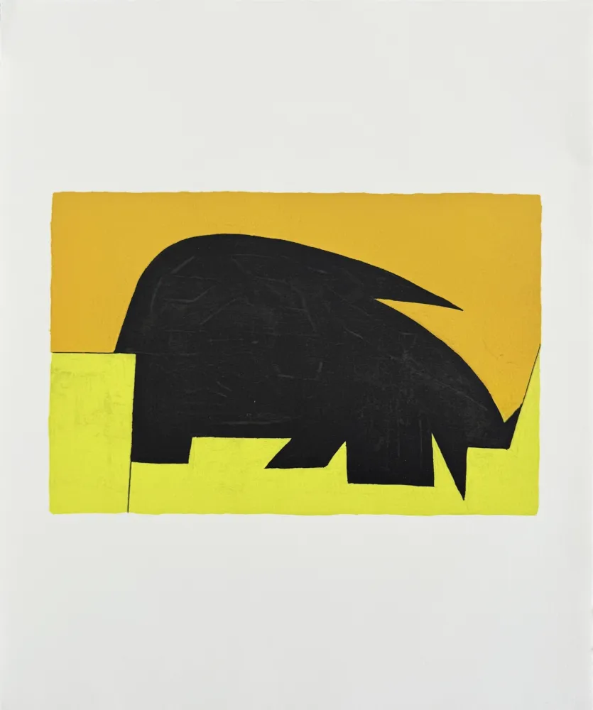 Litografía Vasarely - Garam