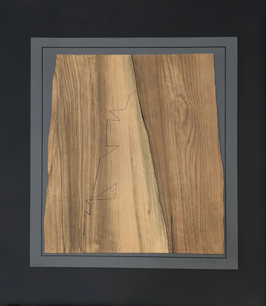 Litografía Vasarely - Gordes Nives 