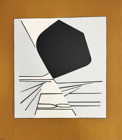 Serigrafía Vasarely - Latorça