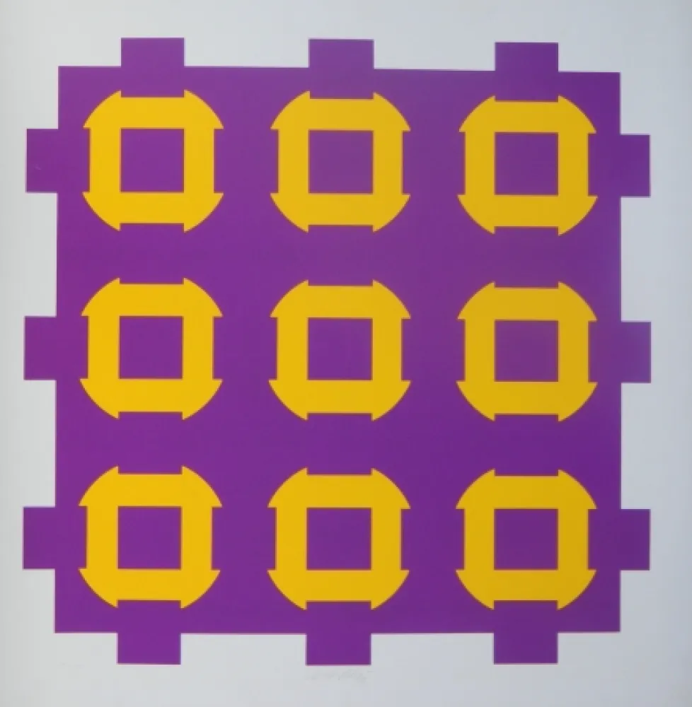 Serigrafía Vasarely - Procion C