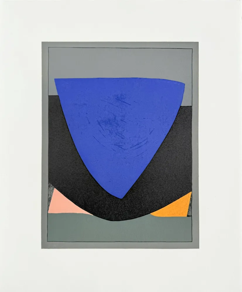 Litografía Vasarely - Tecoma