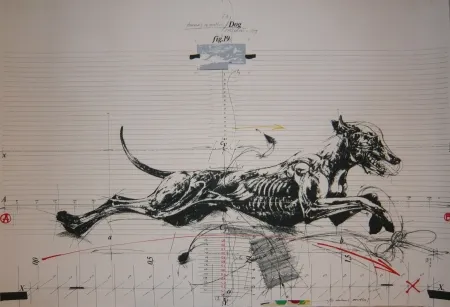 Litografía Velickovic - Animals in motion