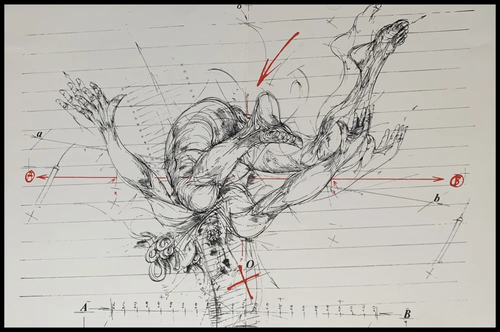 Serigrafía Velickovic - La chute