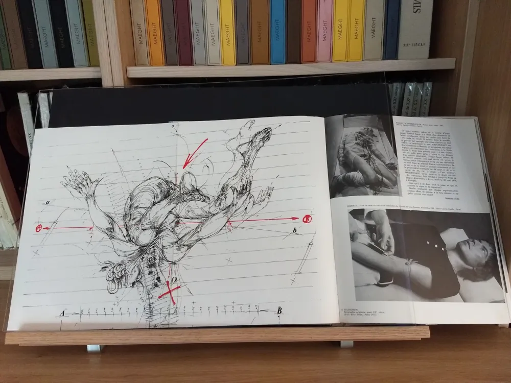 Libro Ilustrado Velickovic - No 44