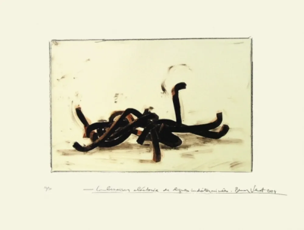 Litografía Venet - Combinaison aléatoire de lignes indéterminées 3C