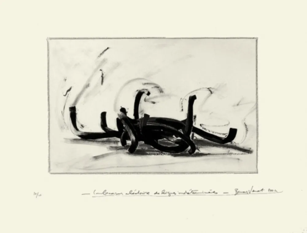 Litografía Venet - Combinaison aléatoire de lignes indéterminées 9N