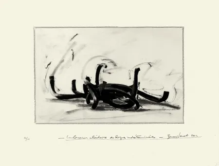 Litografía Venet - Combinaison aléatoire de lignes indéterminées 9N