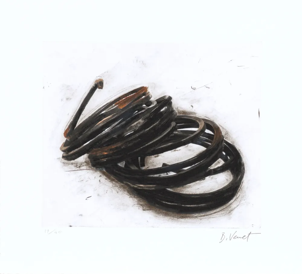 Aguafuerte Venet - Effondrement - Indeterminate Lines 05