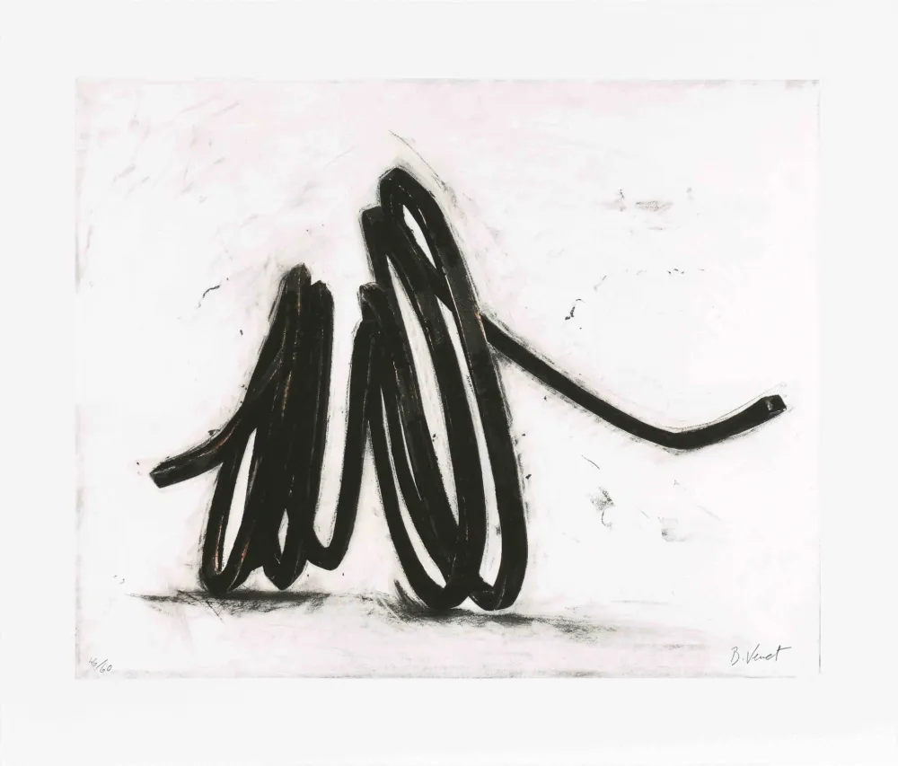 Aguafuerte Venet - Indeterminate line I