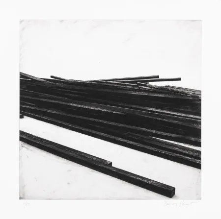 Serigrafía Venet - Lignes droites / désordre 01