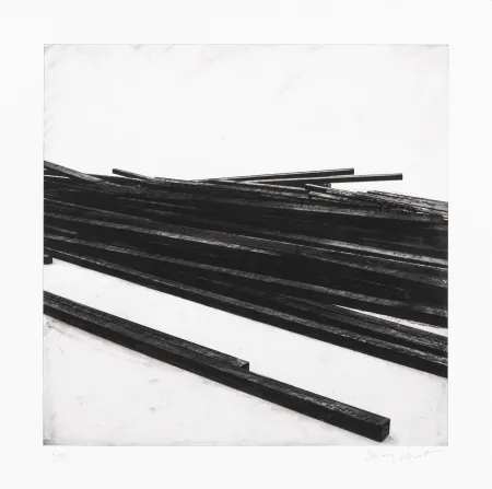 Serigrafía Venet - Lignes droites / désordre 01