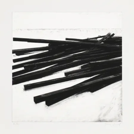 Serigrafía Venet - Lignes droites / désordre 03
