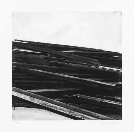 Serigrafía Venet - Lignes droites / désordre 04