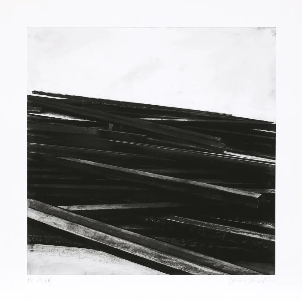 Serigrafía Venet - Lignes droites / désordre 04