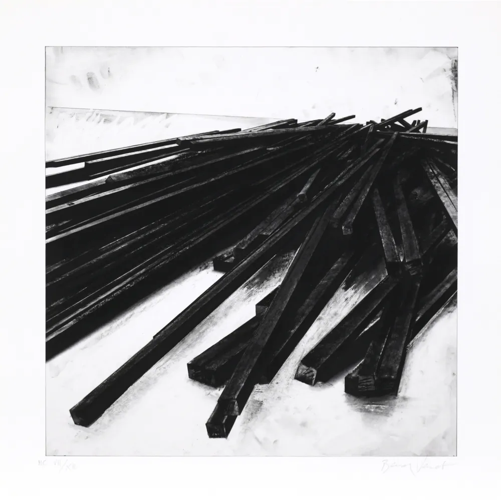 Serigrafía Venet - Lignes droites / désordre 05