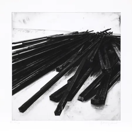 Serigrafía Venet - Lignes droites / désordre 05