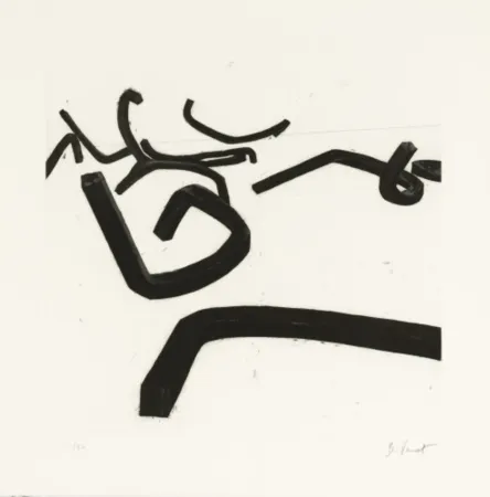 Aguafuerte Y Aguatinta Venet - Random Combination of Indeterminate Lines II, c