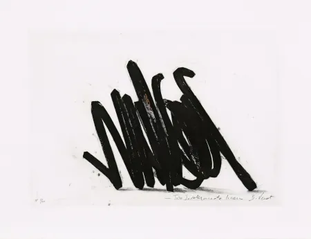 Aguafuerte Venet - Two indeterminate lines 02